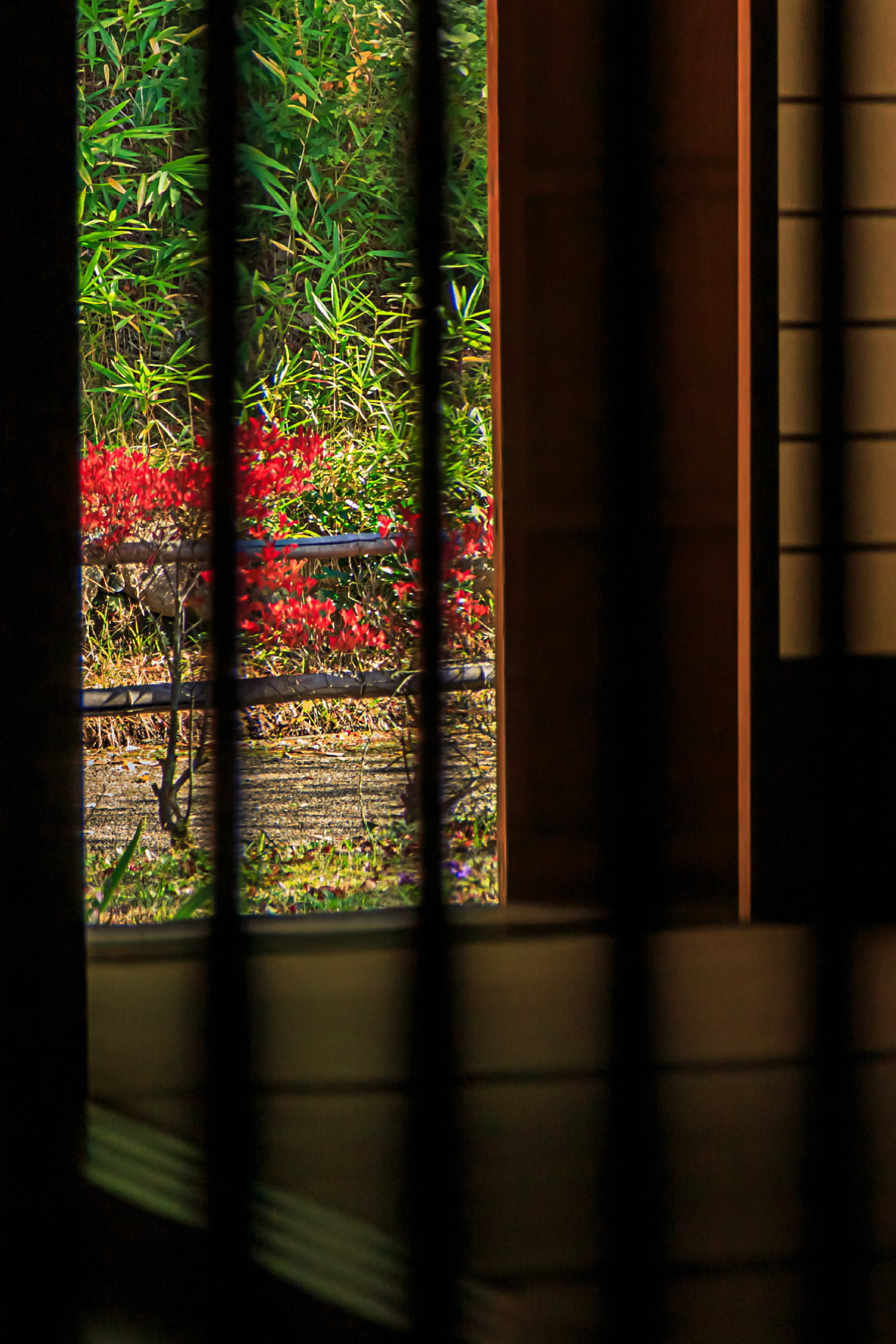 現地周辺image photo