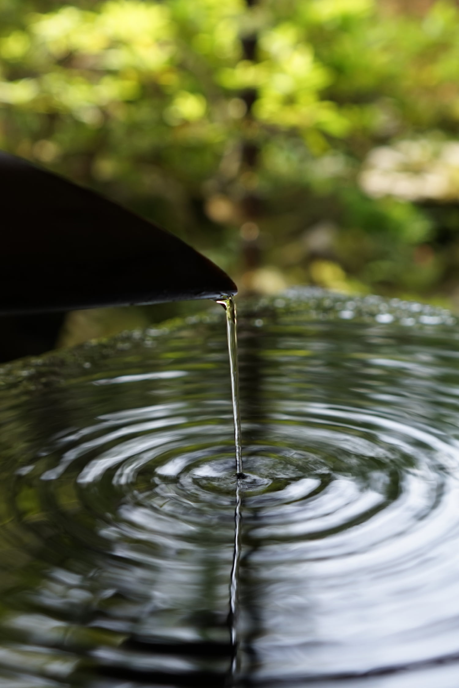 現地周辺image photo