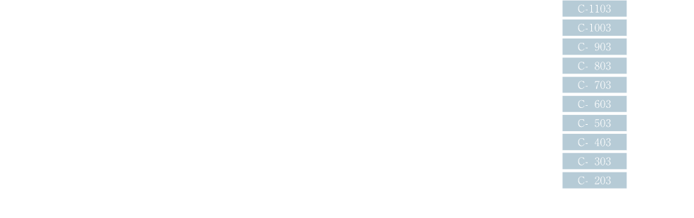 C TYPE　詳細