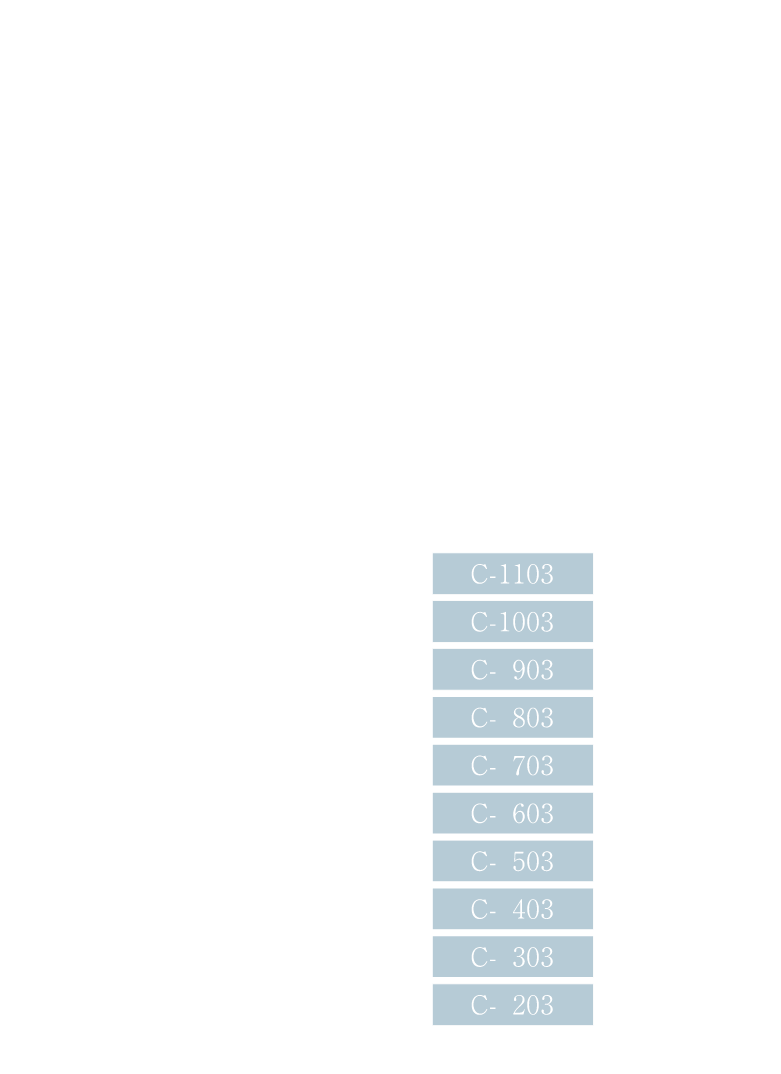 C TYPE　詳細