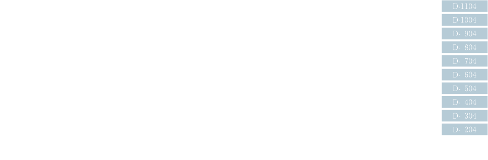 D TYPE　詳細