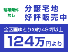 建築条件なし　分譲住宅　好評販売中　全区画ゆとりの約49坪以上　124万円より